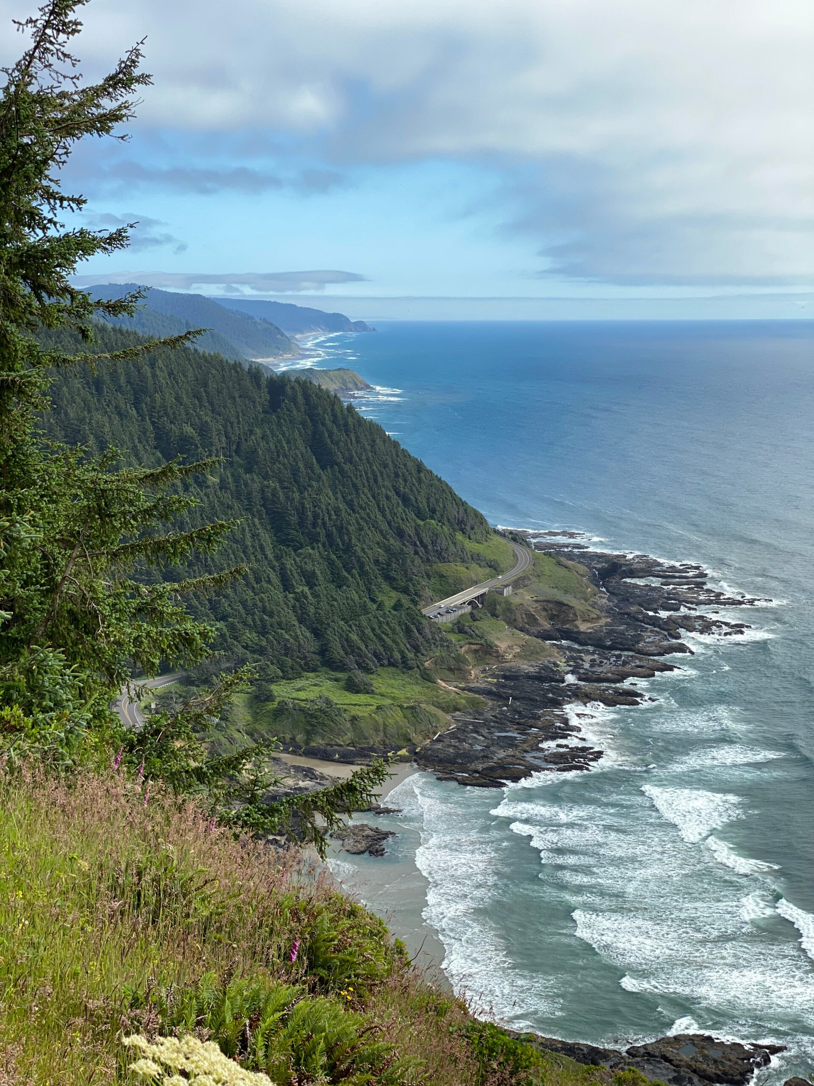 2021-CapePerpetua_south.1
