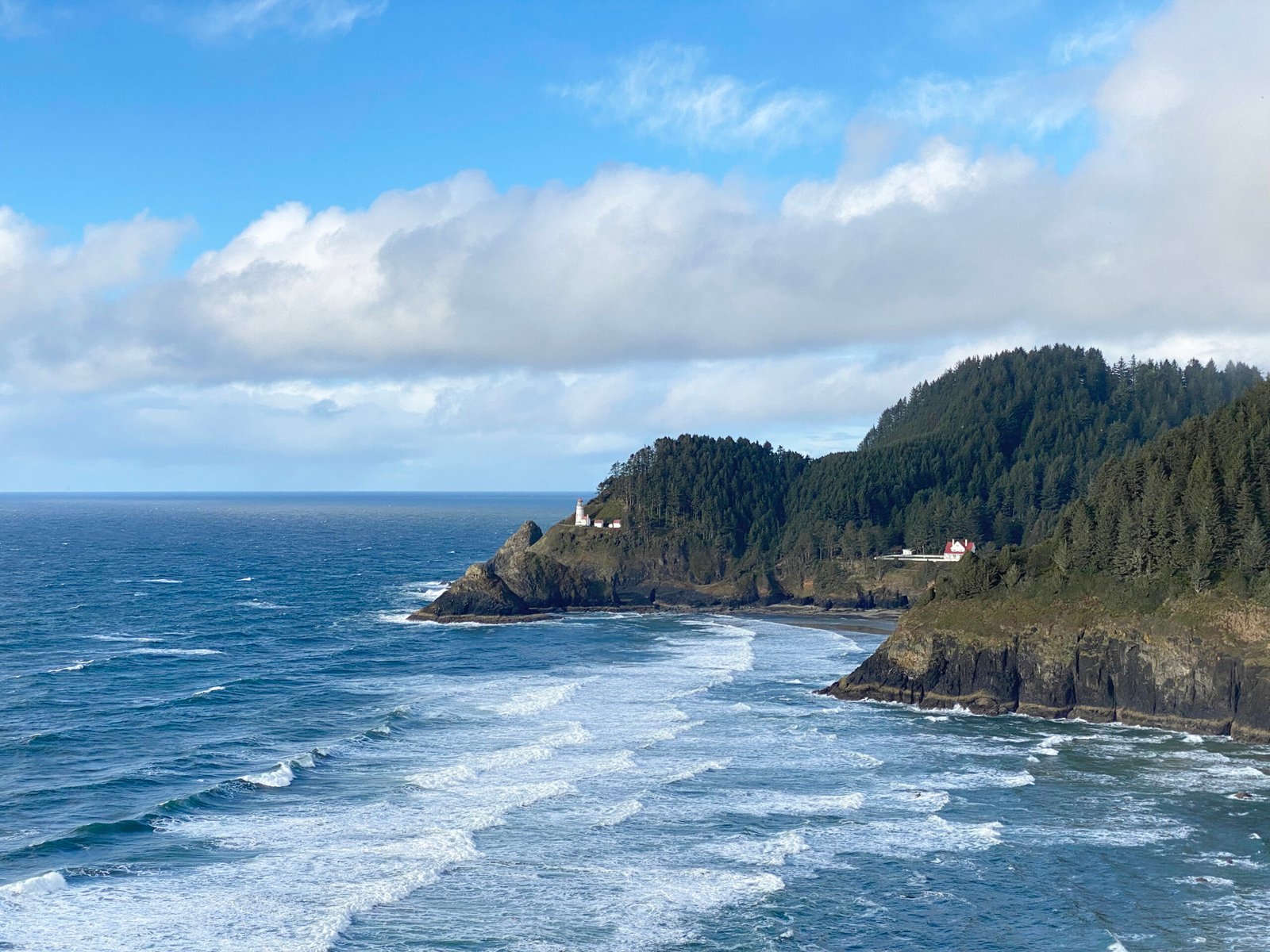 HecetaHead-KatrinaWynne